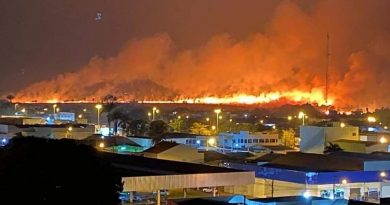 Grilagem, devastação da Amazônia, ataque aos povos indígenas e pantanal em chamas Grilagem, devastação da Amazônia, ataque aos povos indígenas e pantanal em chamas