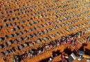 Não são números, são vidas – mais de 200 mil vidas foram arrancadas por causa desse governo genocida Não são números, são vidas – mais de 200 mil vidas foram arrancadas por causa desse governo genocida